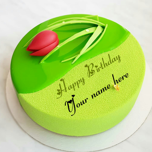 Green Apple Velvet Birthday Cake With Rose For Wife